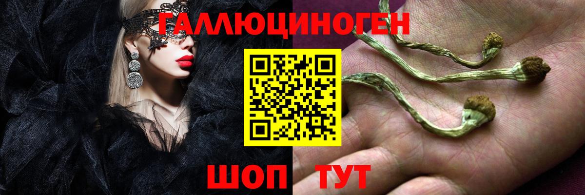 Галлюциногенные грибы Psilocybe  магазин  наркотиков  Туймазы  Псилоцибиновые грибы Magic Shrooms  Вход с VPN 